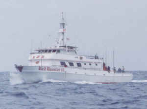 Rr3m.jpg (20169 bytes)